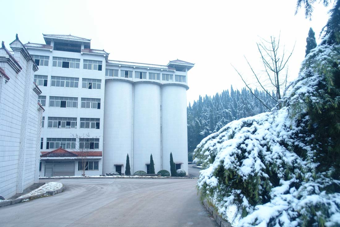 图片名称