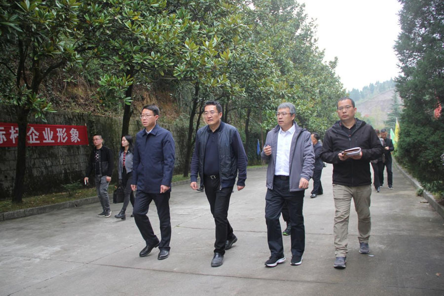 图片名称 图片名称